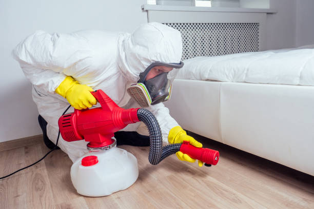 Best Termite Control Services  in Derma, MS